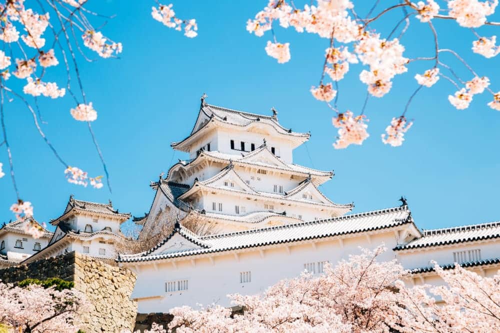 Himeji Castle with spring cherry blossoms in Japan