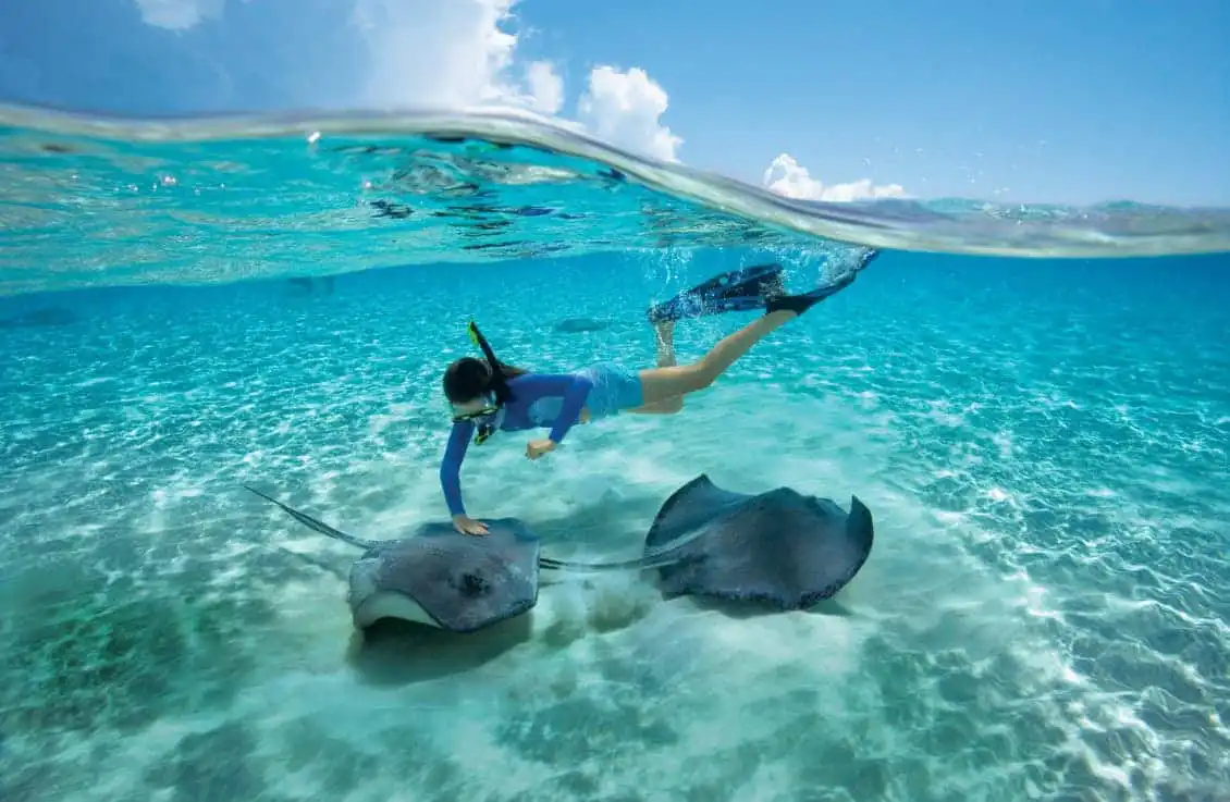 OceansDay_Hero Get Up Close to Creatures of the Deep on World Oceans Day