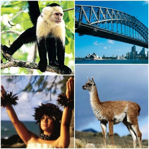 Repositioning cruises sail to a variety of exotic destinations like Costa Rica, Australia, Hawaii and South America.