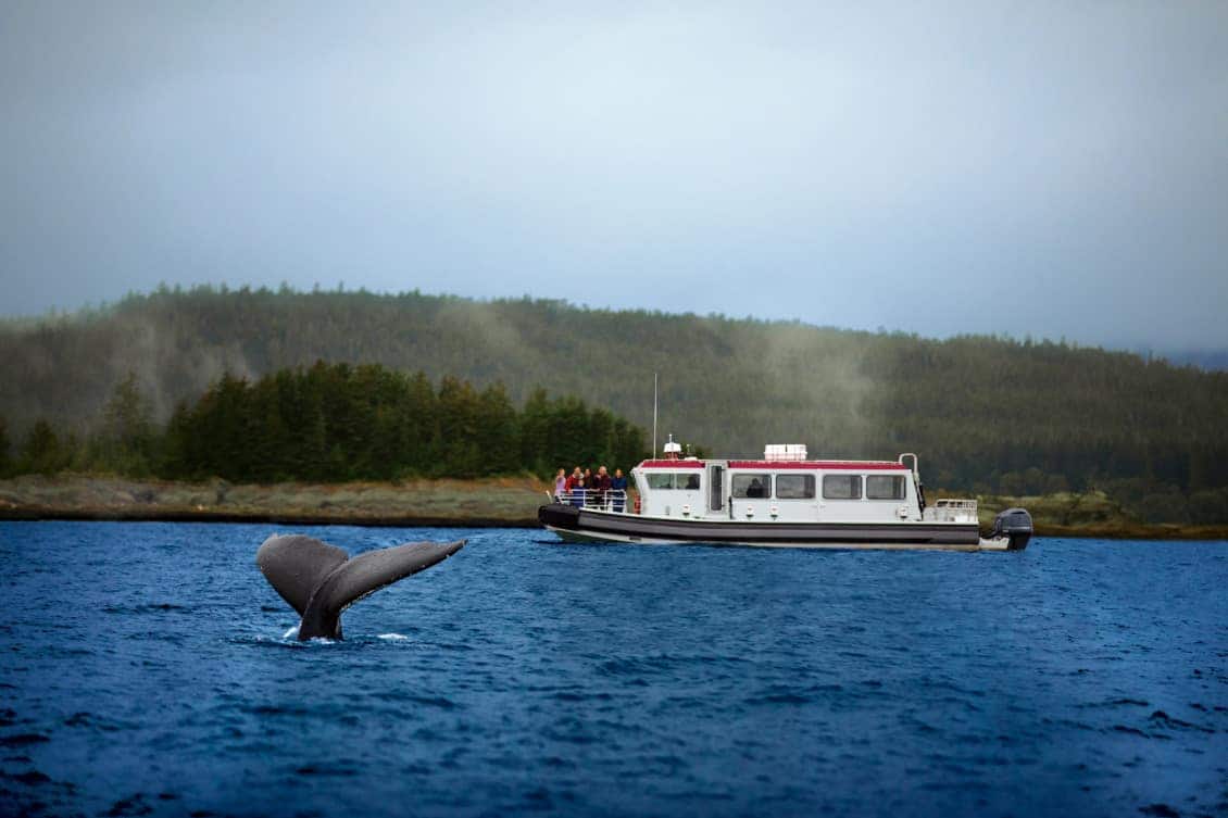 How Long Do Fishing Boats Stay Out: Unveiling the Ultimate Exploration Duration