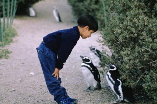 Get close to Magellan penguins at Punta Tombo Nature Reserve.