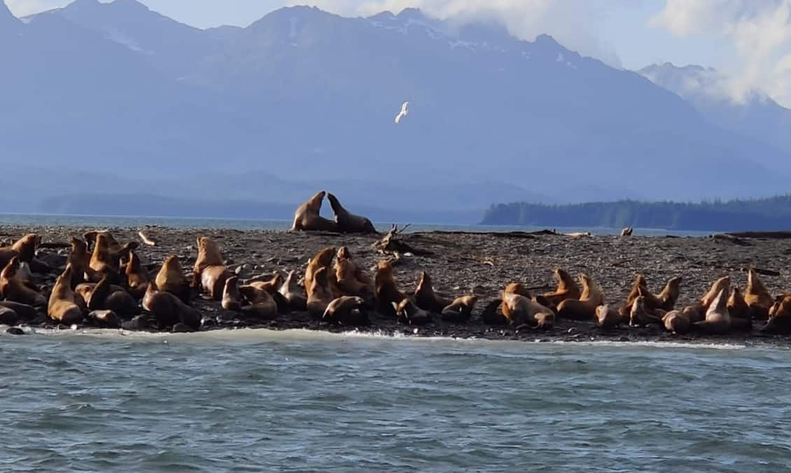 Post: It’s Alaska Day! Facebook Fans Share Their Favorite Places in Alaska