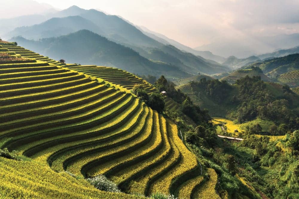 Rice fields terraced of Mu Cang Chai, YenBai, Vietnam