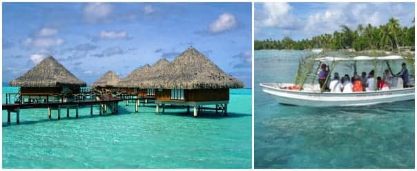 You can dive in to the water from your bungalow at Bora Bora or stay dry and just look through the view of a glass bottom boat at 