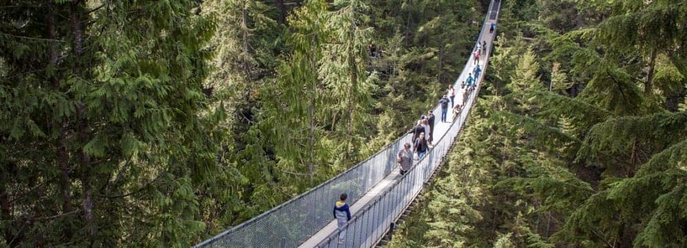northwest-exploration-suspension-bridge-073118-43712-c037.jpg.image.1130.410.high