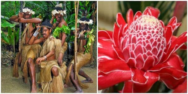 Meet warriors and photograph the fauna at Port Vila.