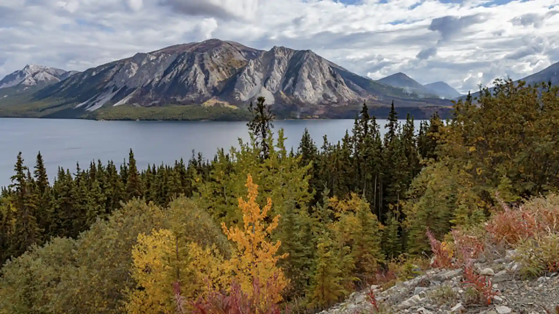 View of the Yukon's lush forest and snow-covered mountains around blue waters.