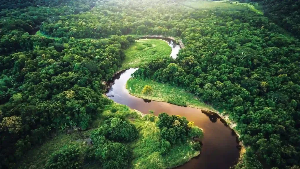 Aerial photo of Amazon River winding through lush green jungle in South America.
