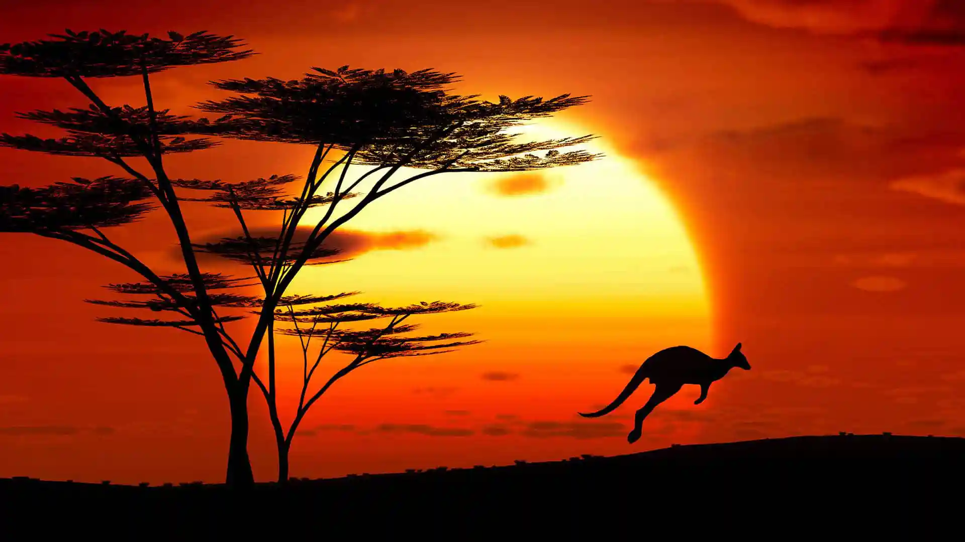 Kangaroo hopping away from tree at sunset in Australia.