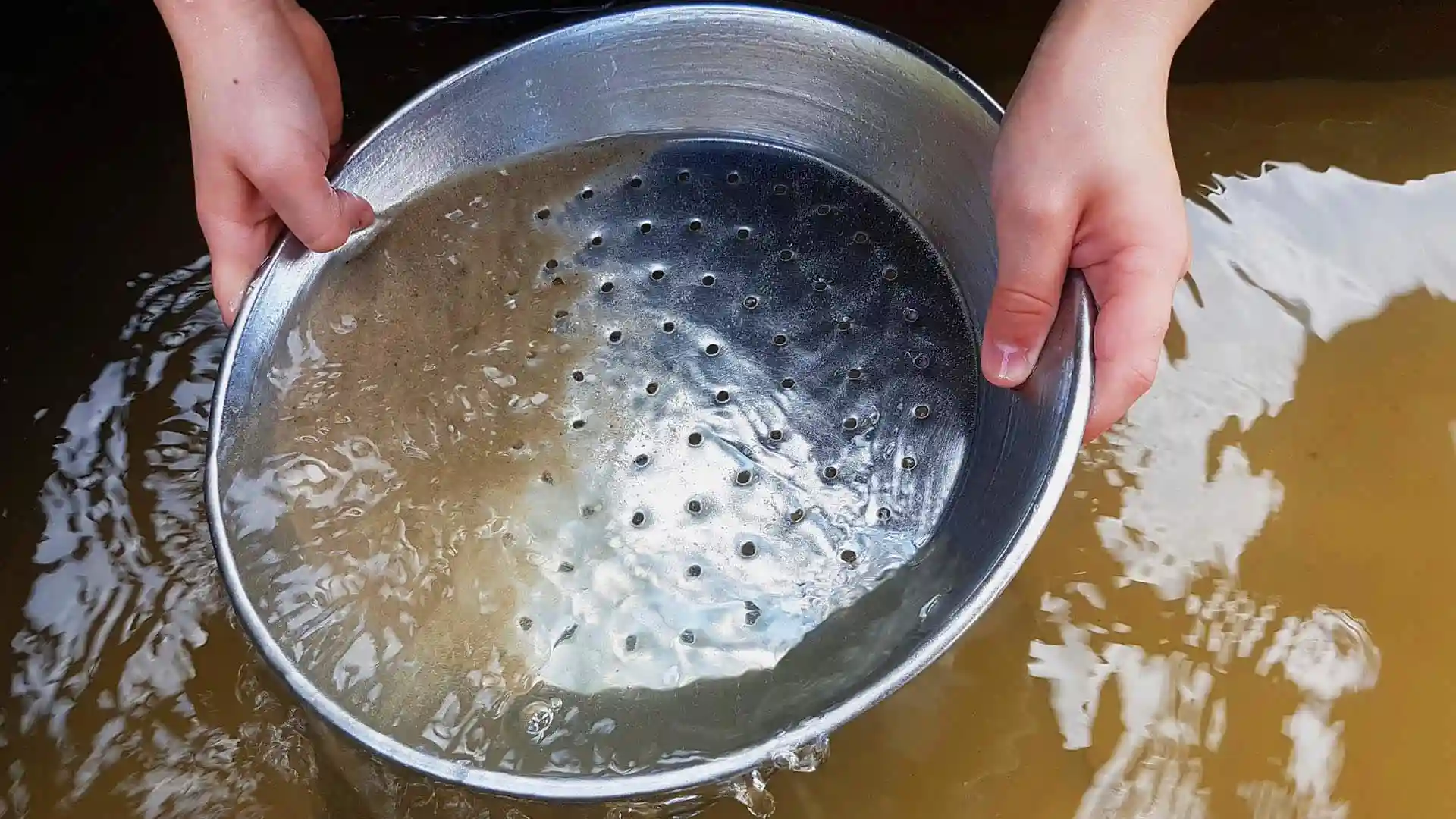 Person holding pan while panning for gold.