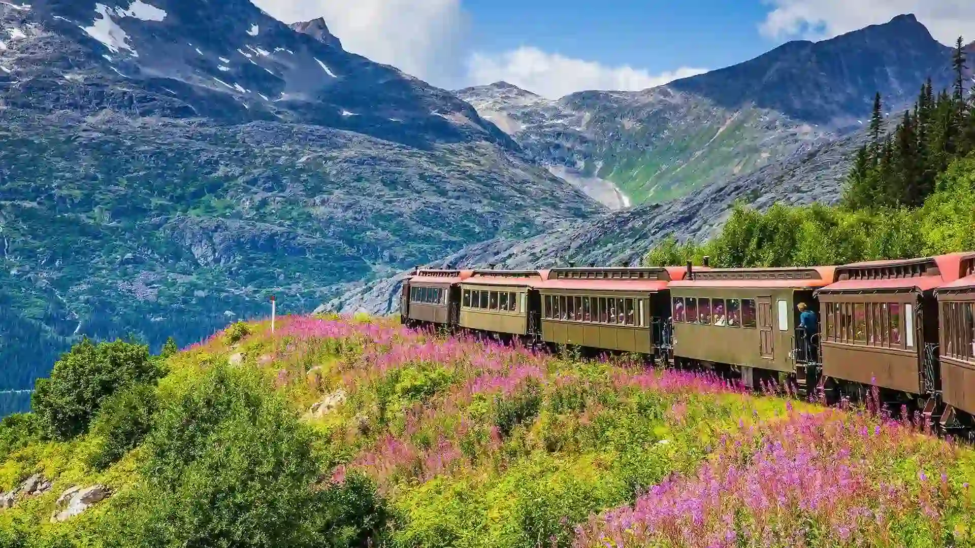 Train traveling through countryside, surrounded by wild flowers and rocky landscape.