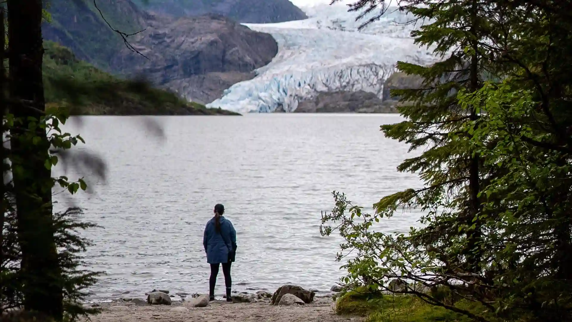 View of Alaska glacier from hiking trail.