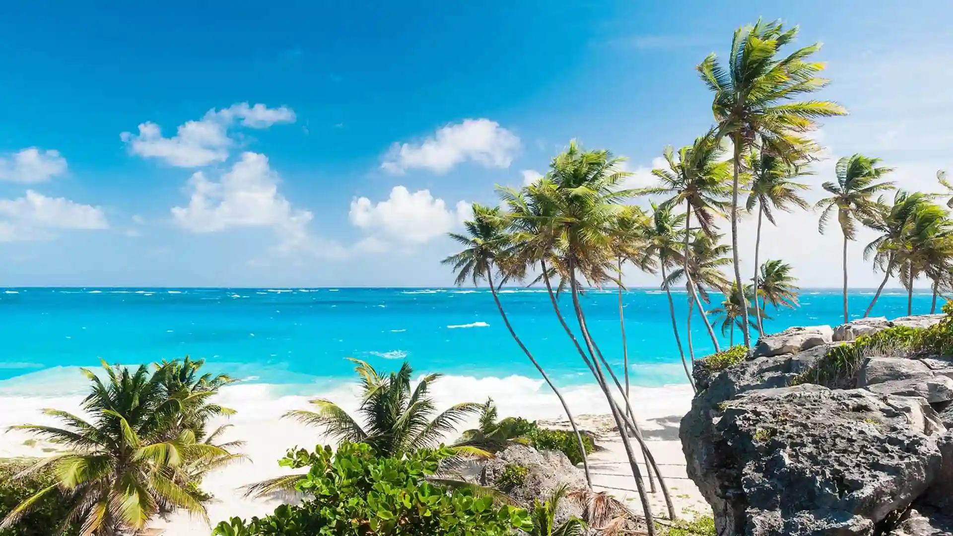 View of tropical beach with rocks and palm trees.