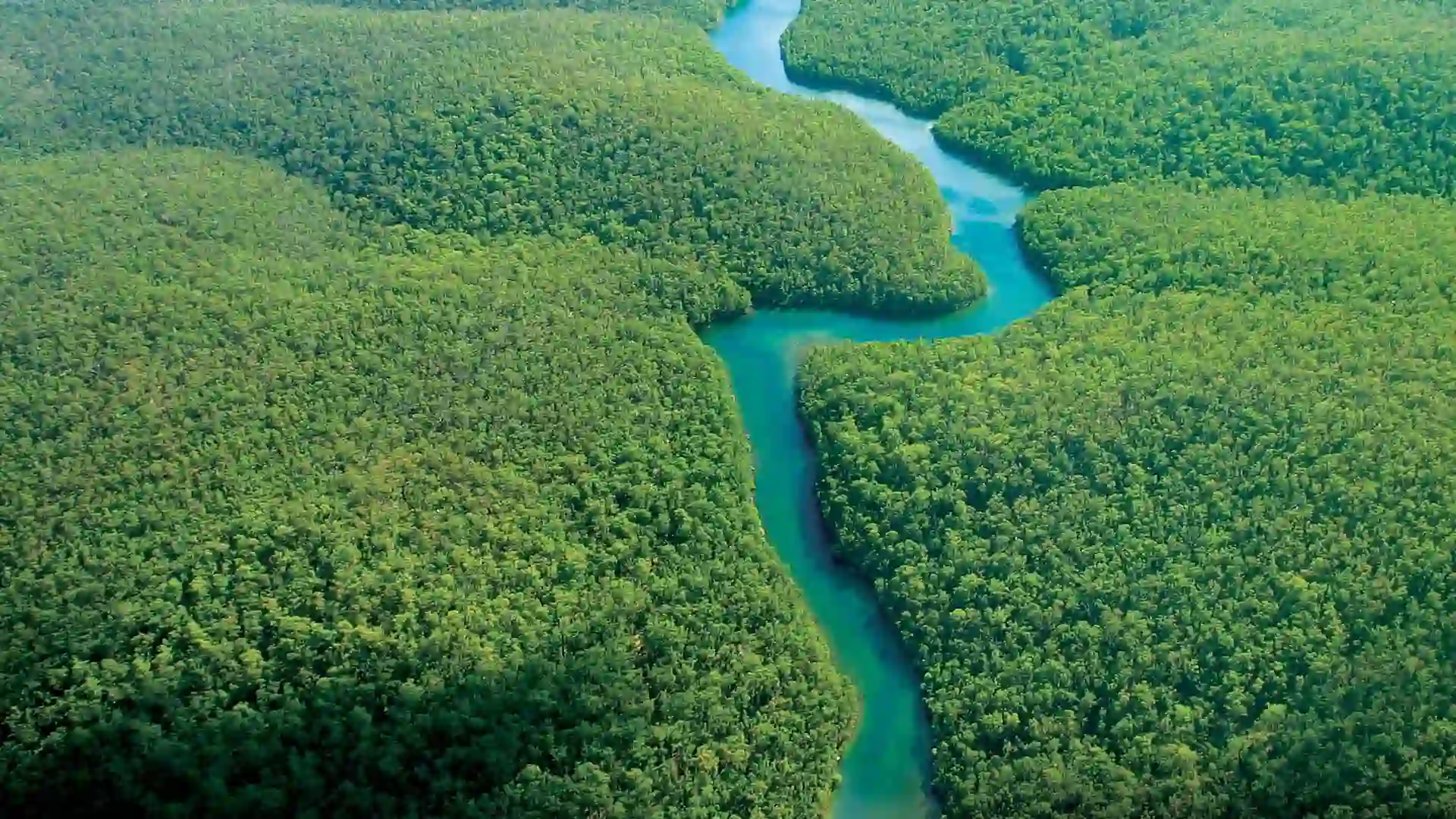 Aerial view of Amazon River winding through lush landscape.