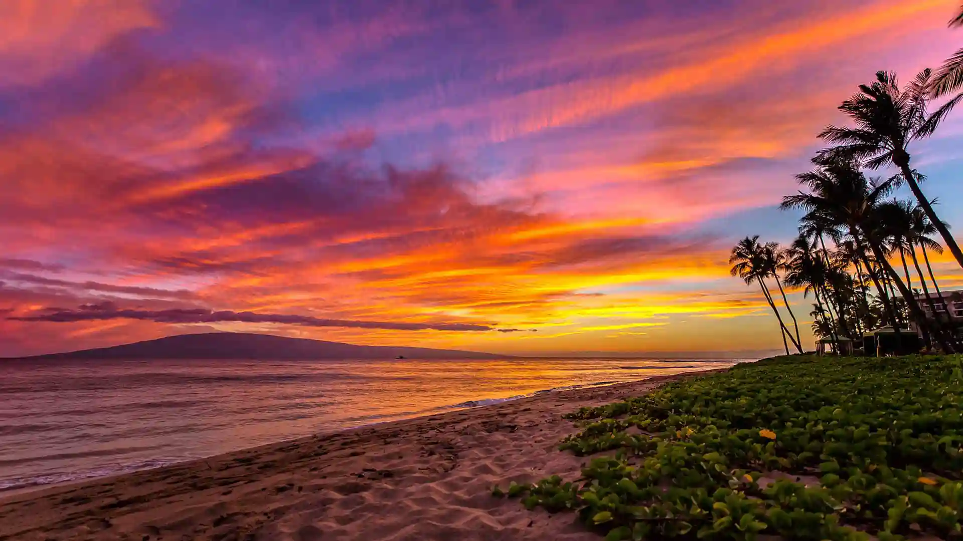 View of sunset on beach in Hawaii.