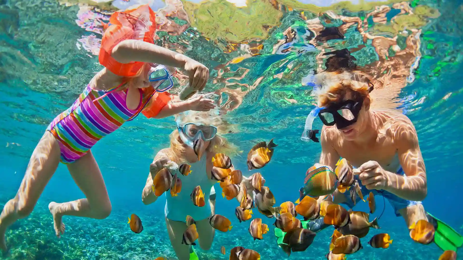 People snorkeling near orange-colored tropical fish.
