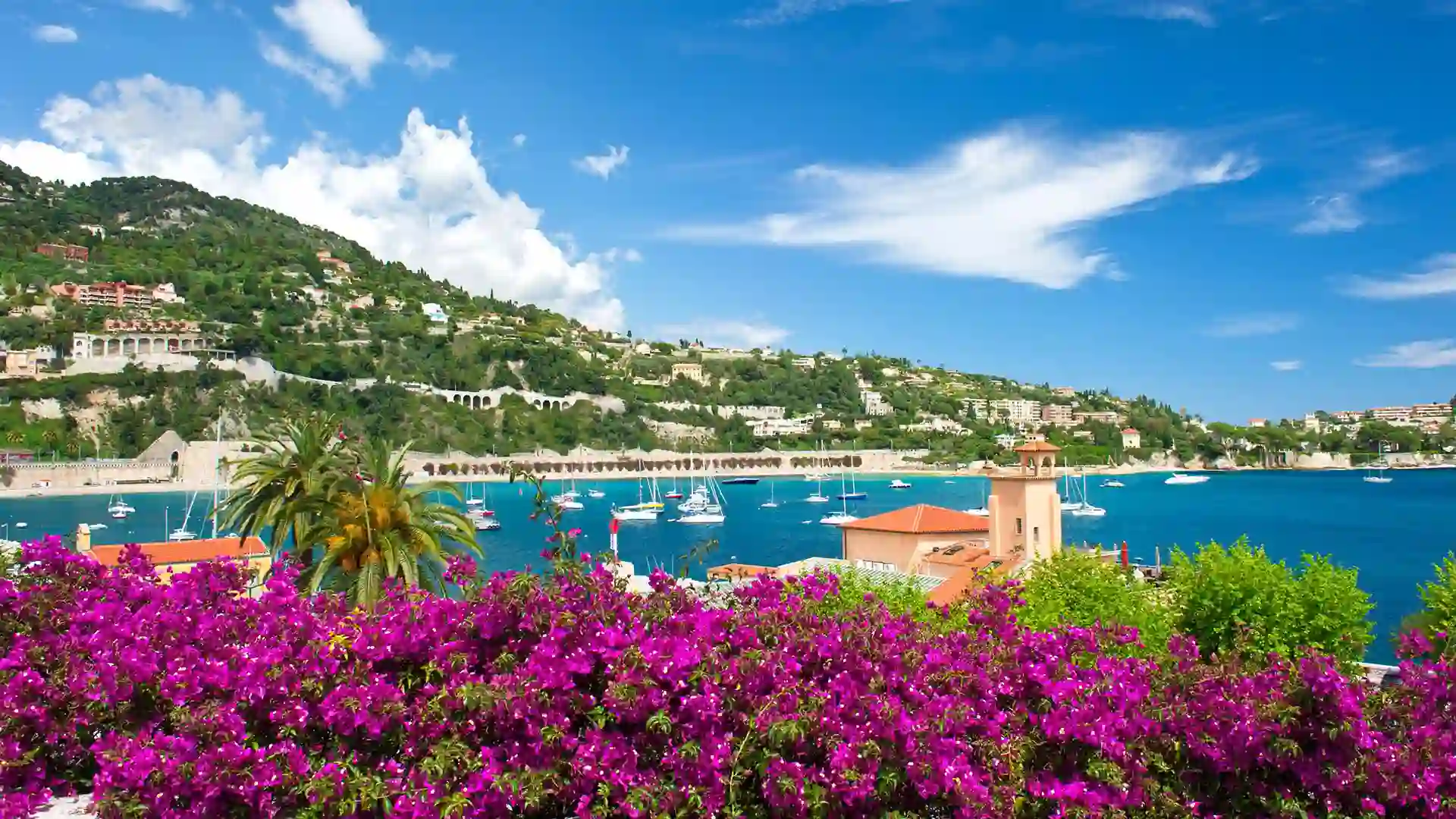 View of purple flowers and green hillside along blue ocean shore where boats are sailing.