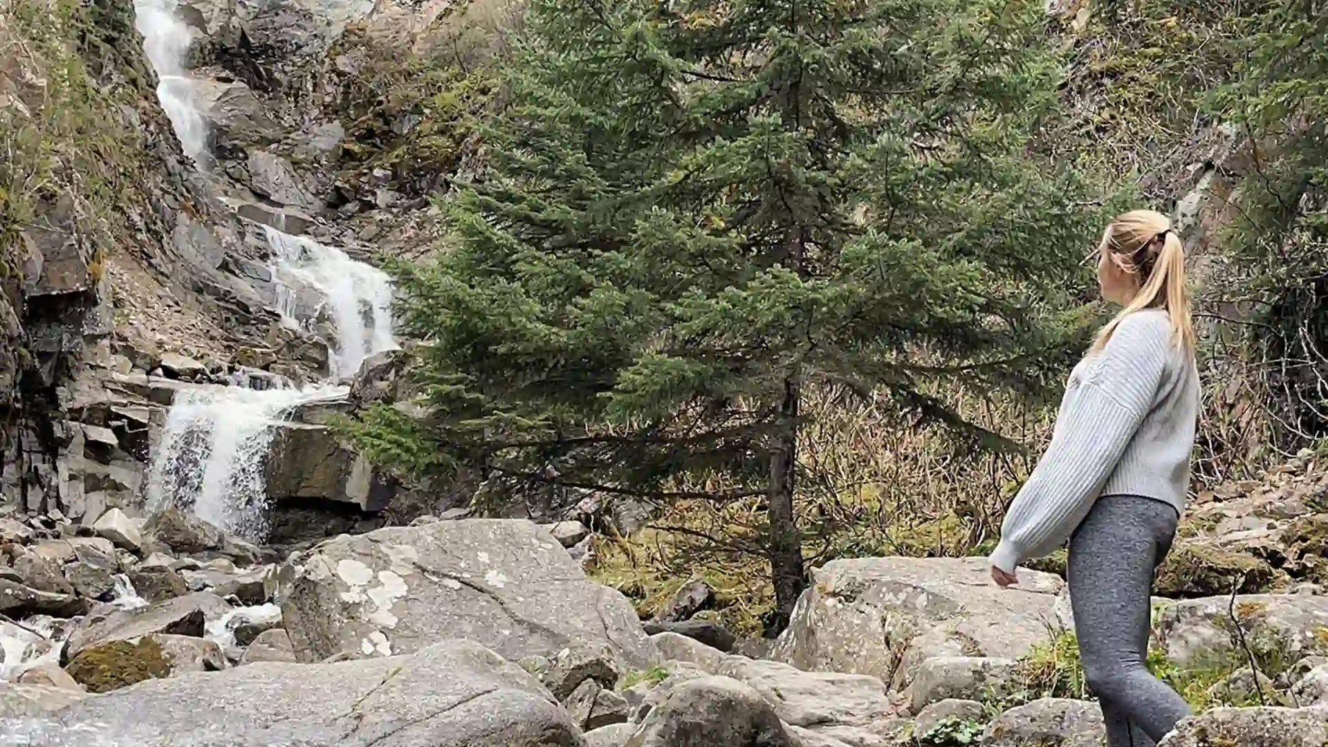 Person looking at waterfall, surrounded by green forest and rocks.