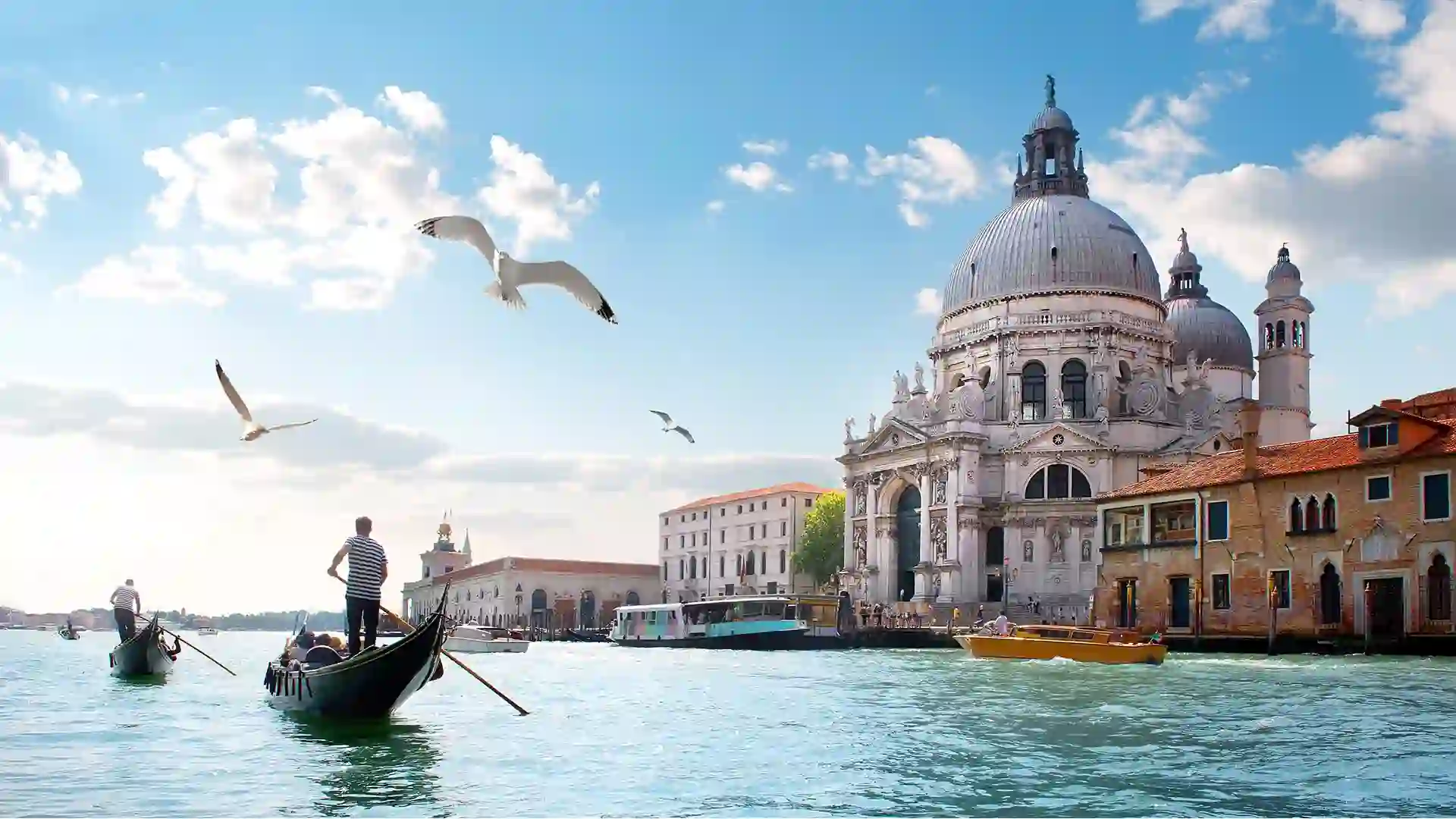 Small boats sail along the shoreline with bird flying overhead.