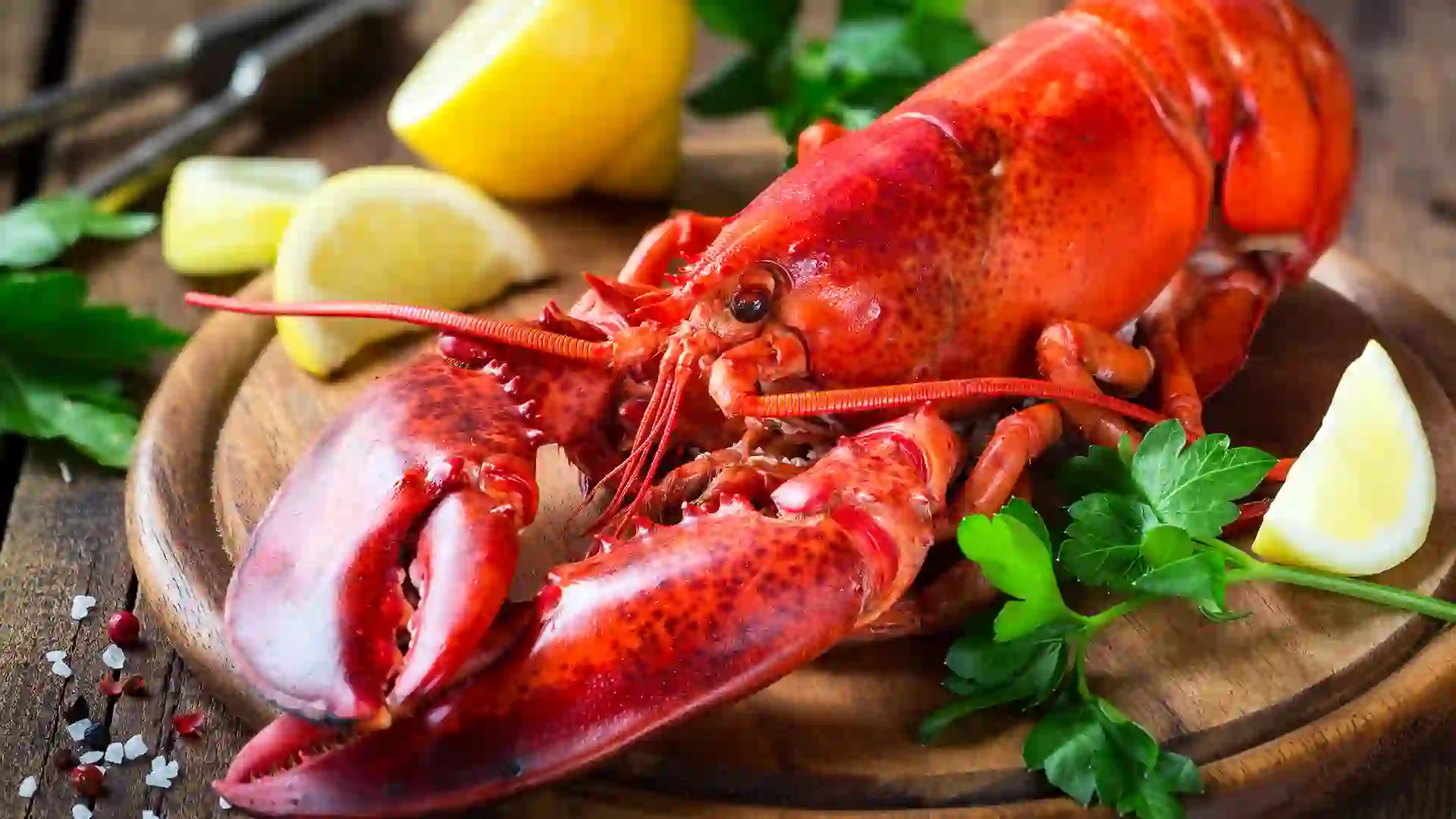 Red lobster on a platter surrounded by lemon and garnish.