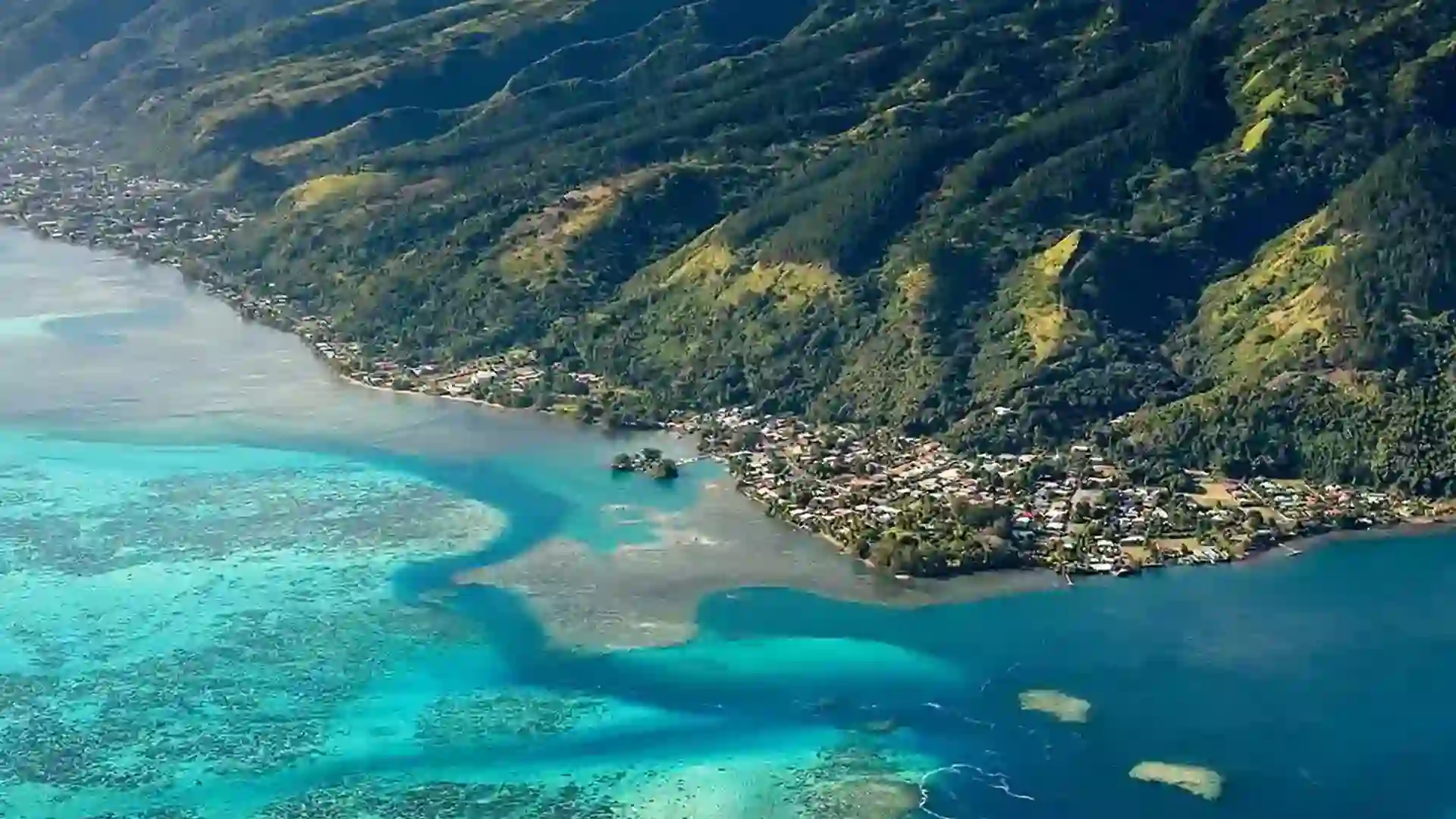 View of blue waters meeting a luscious green shoreline.