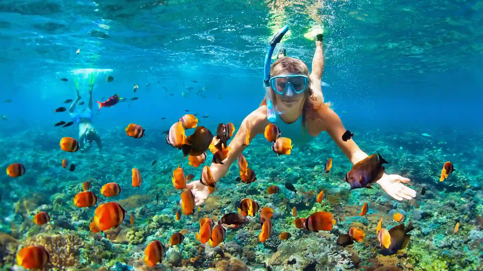 Snorkeling in Caribbean Person wearing snorkel gear underwater swimming with orange tropical fish.