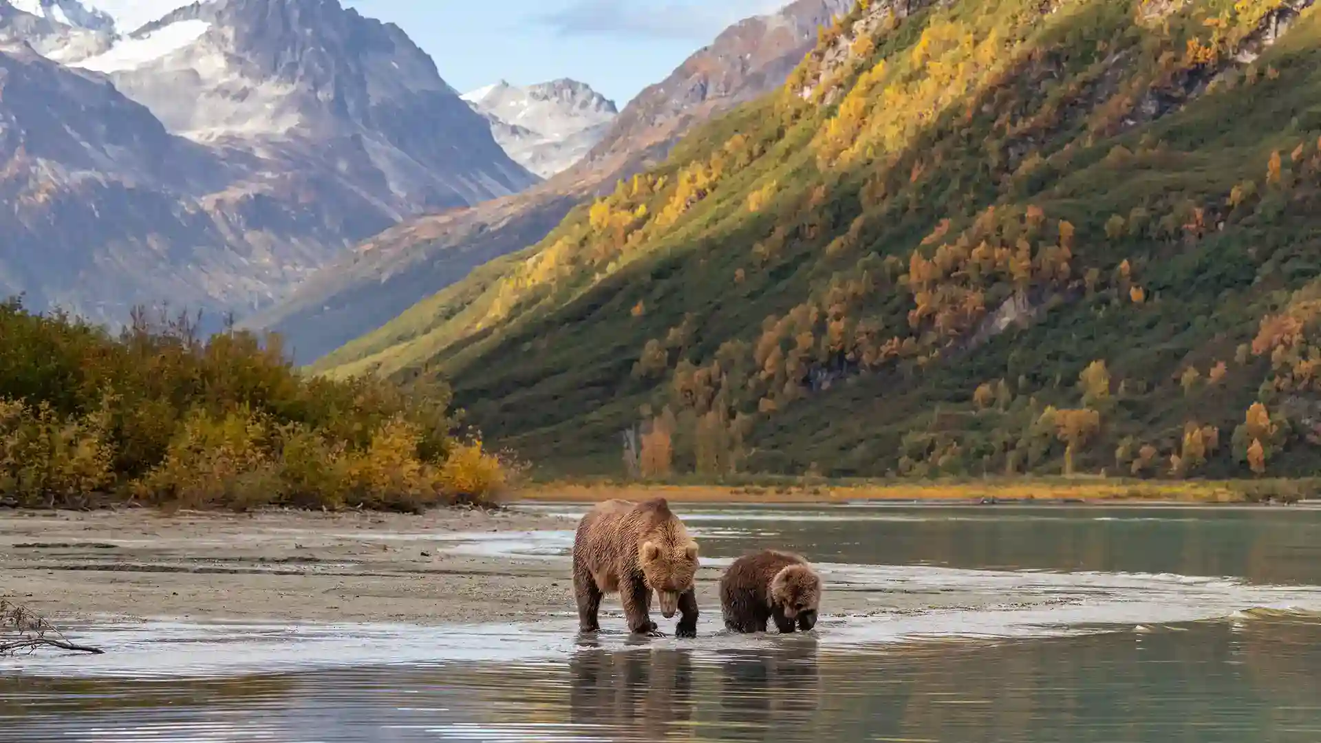 Post: Experience the Heart of Alaska’s Wilderness on a Cruisetour
