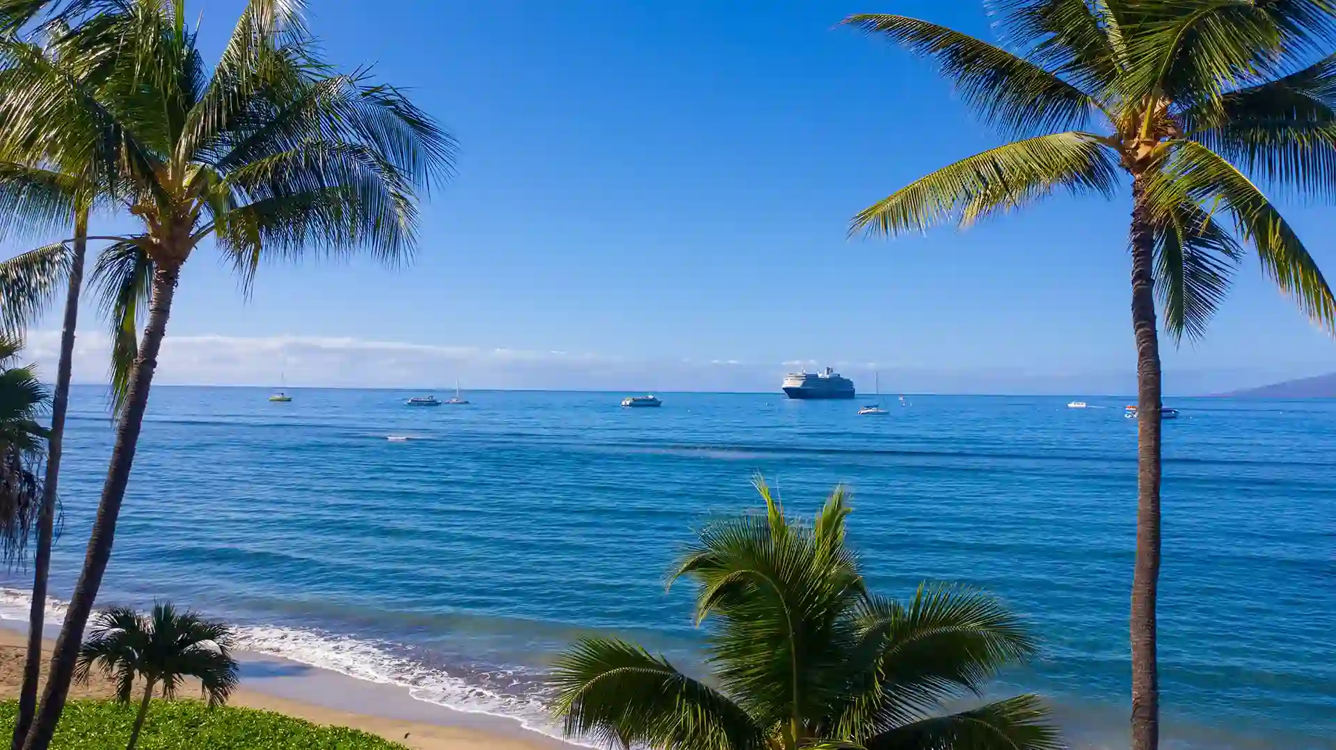 Spectacular Views on Hawaii Beaches View of ship and boats off sandy shore covered in palm trees.