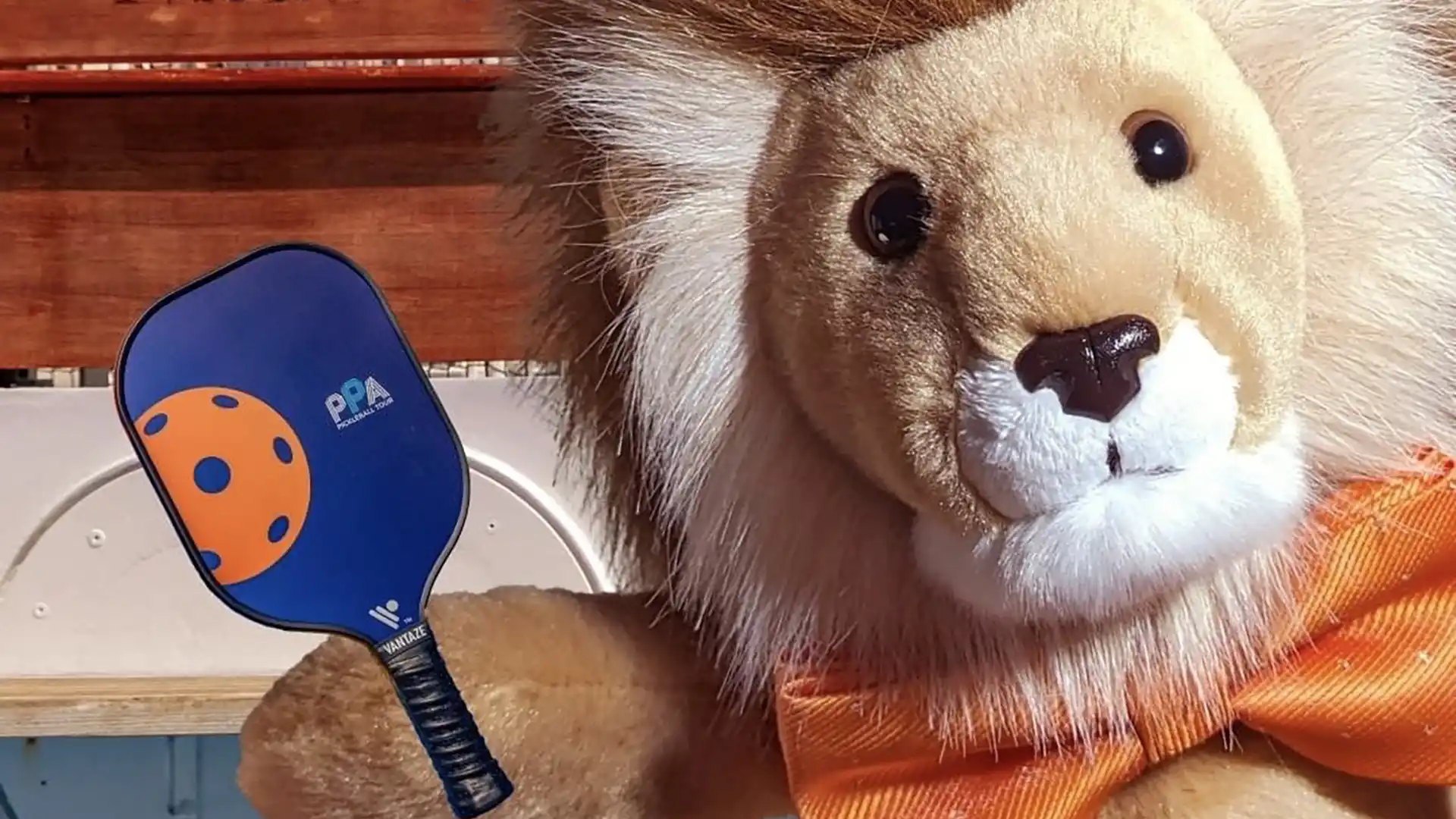 Holland America Line's lion mascot wearing orange bowtie and holding an orange and blue pickleball paddle.