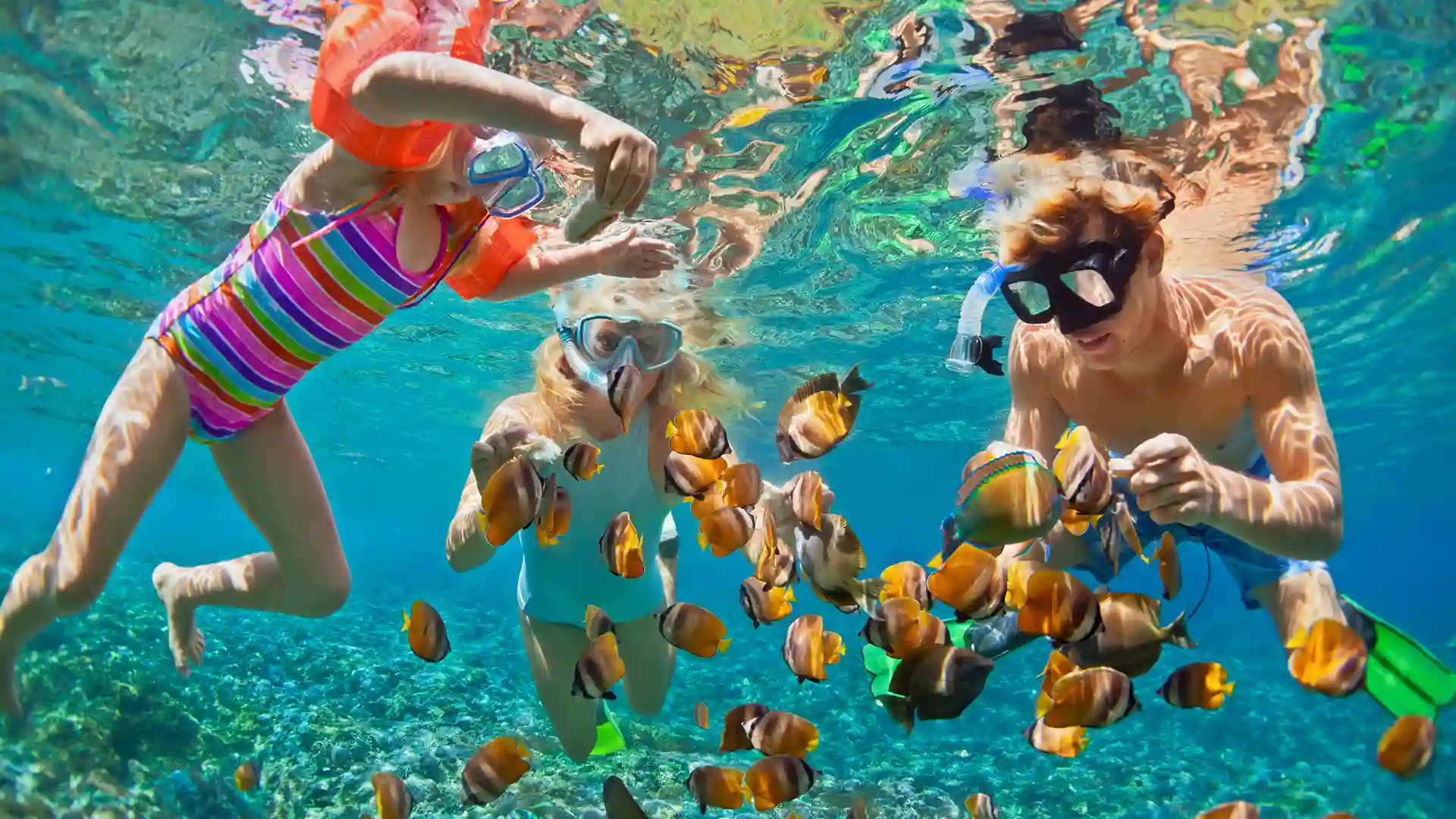 Three people snorkel with orange tropical fish.