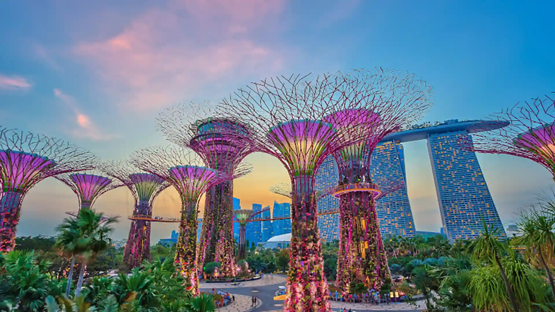 View of Singapore's Gardens by the Bay with structures covered in multicolored lights.