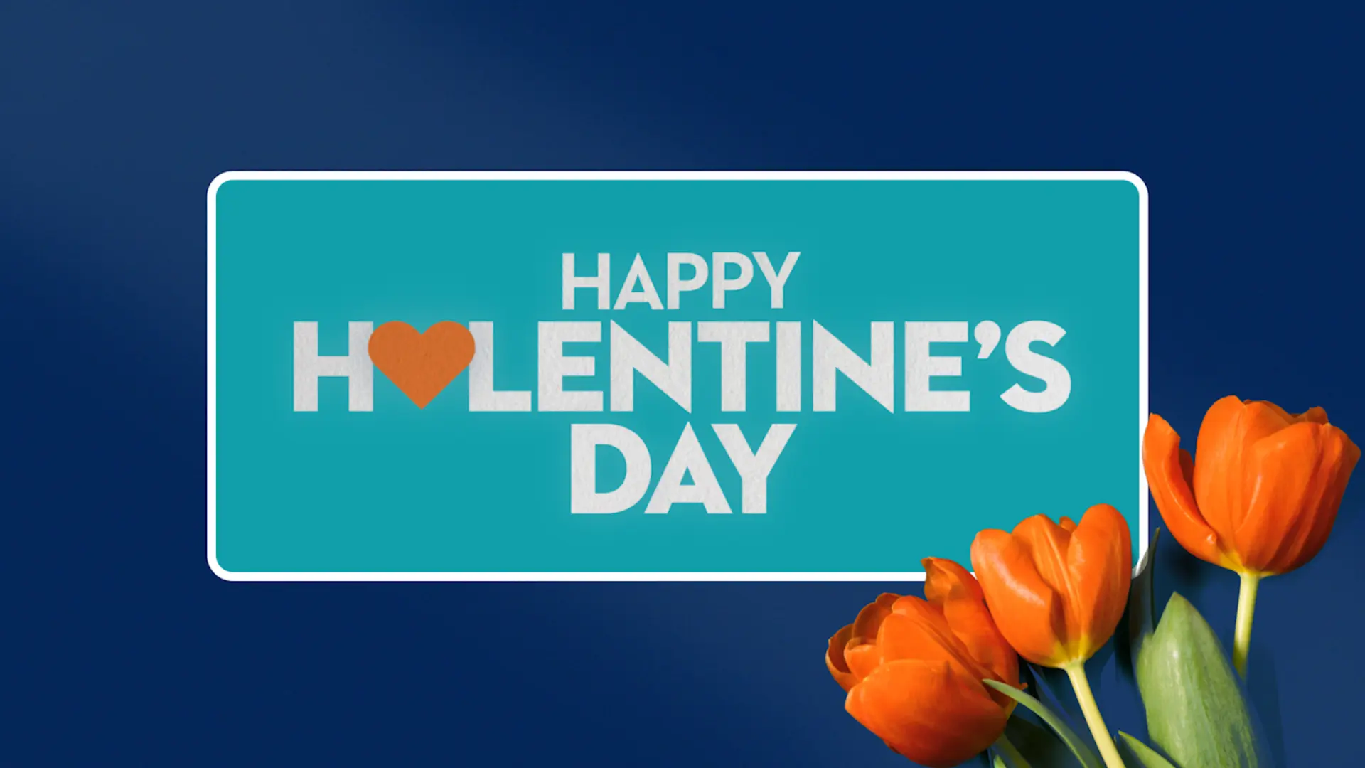 Blue background with orange-colored tulips in honor of Valentine's Day. Text reads: HAPPY HALENTINE'S DAY.