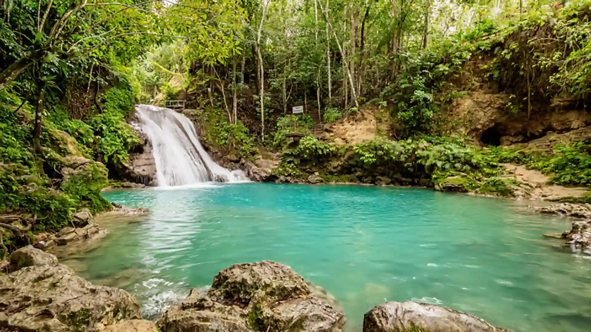 View of waterfall in Ocho Rios, Jamaica, surrounded by lush forest.