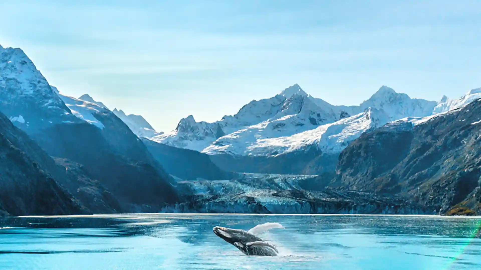 View of whale jumping out of water in Glacier Bay, Alaska, surrounded by icy-blue glaciers.