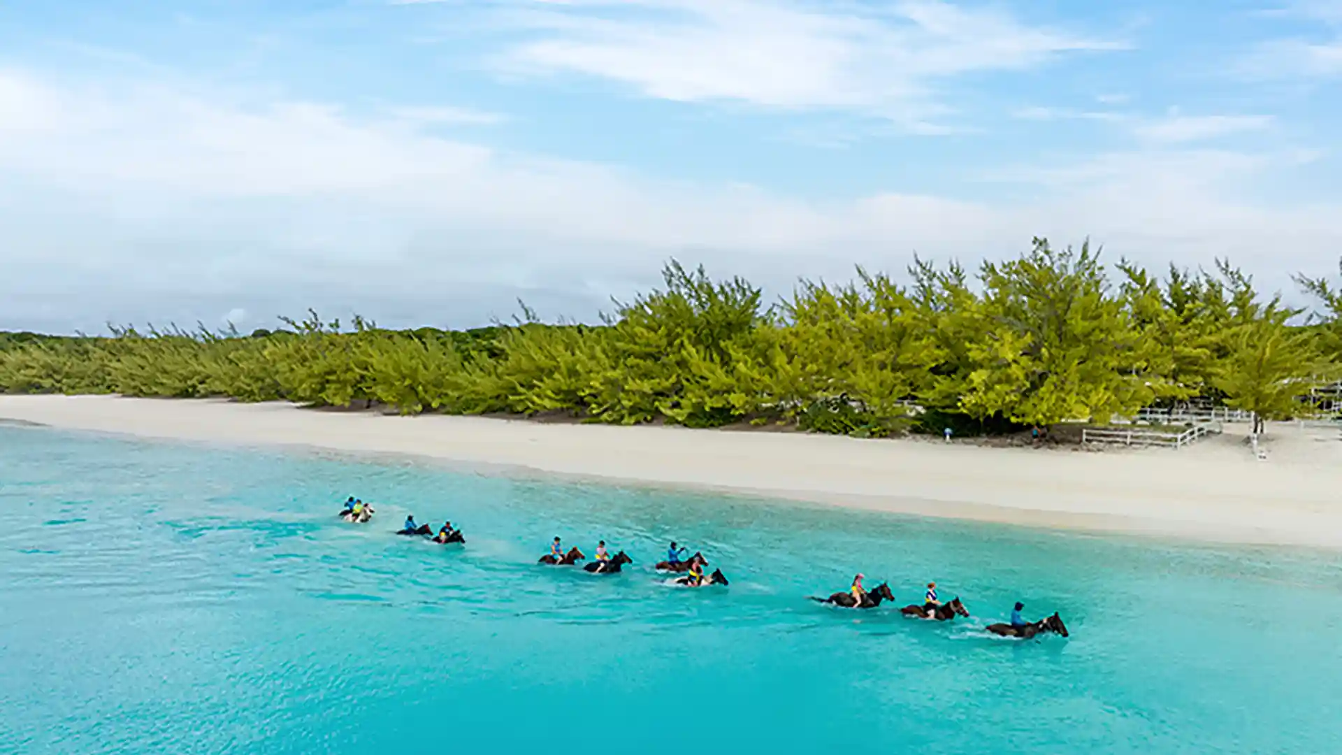 Half Moon Cay Horseback Riding View of people horseback riding through water along Holland America Line's Half Moon Cay in the Bahamas.