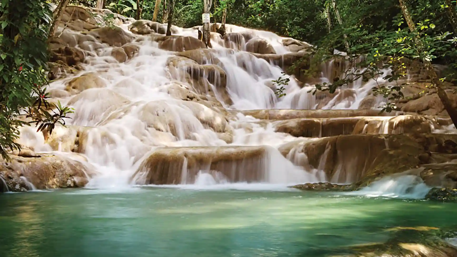 View of Jamaica's Dunn's River Falls, surrounded by green forest.