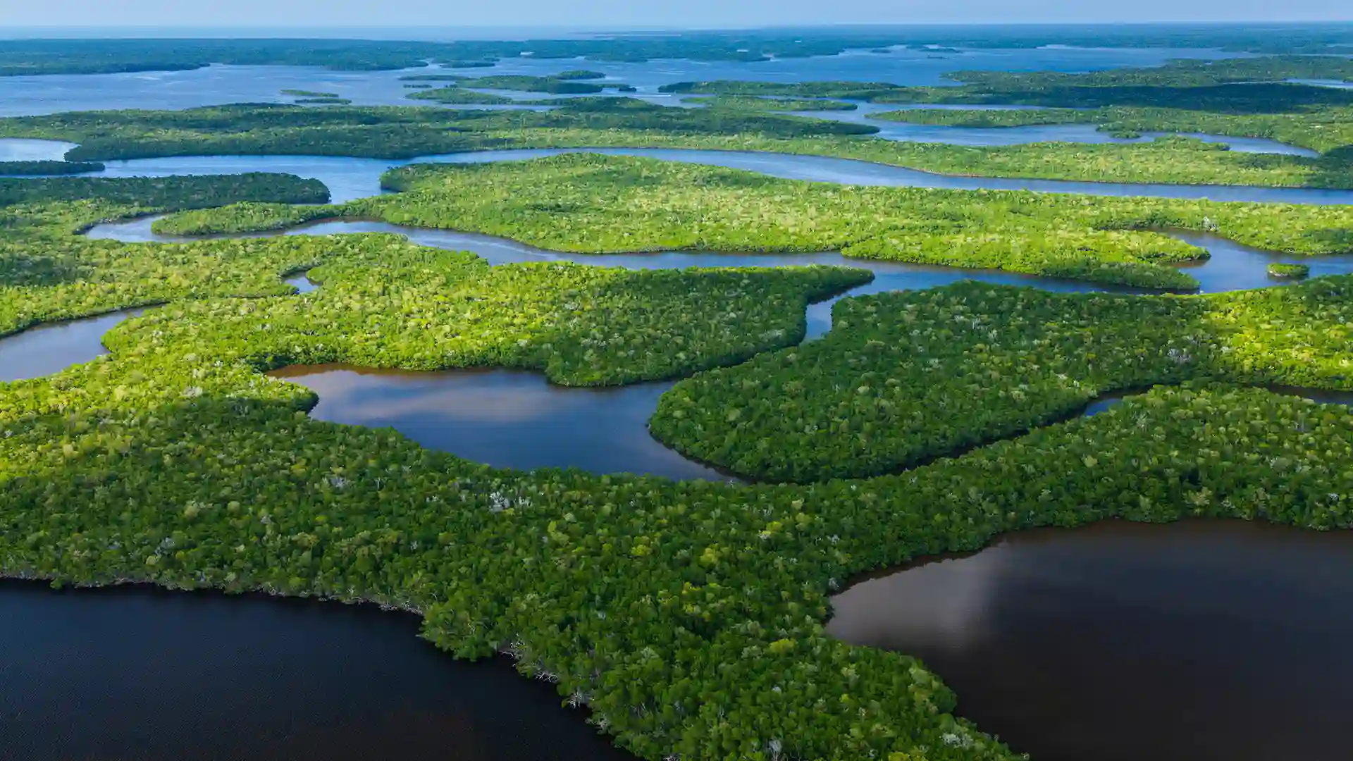 Aerial view of Everglades National Park in Florida.