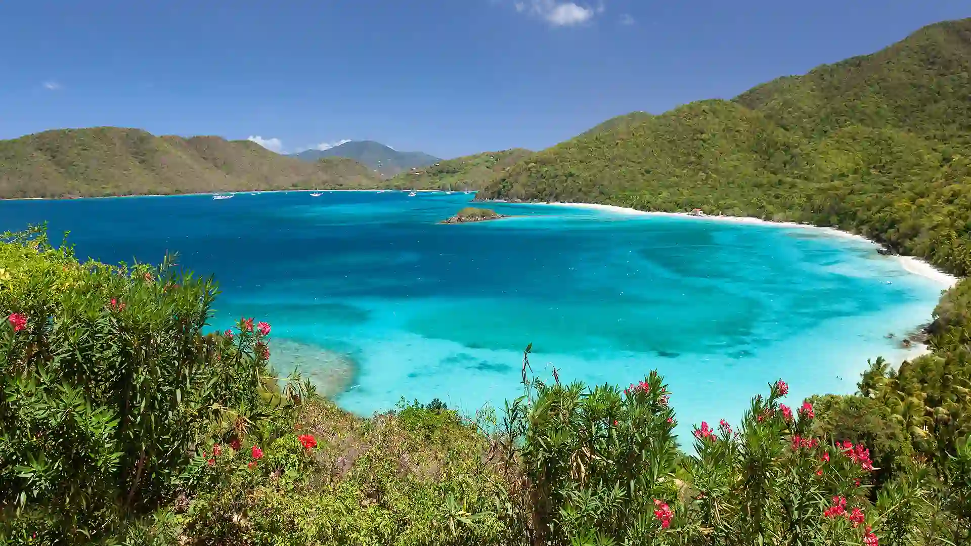 View of Cinnamon Bay, with its turquoise waters and lush green landscape along the white sandy shore.