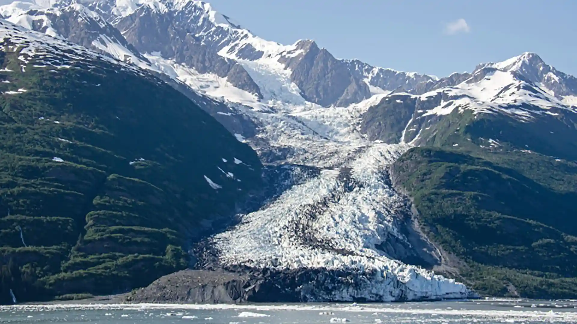 View of College Fjord in Alaska, surrounded by green forest and snowcapped mountains.