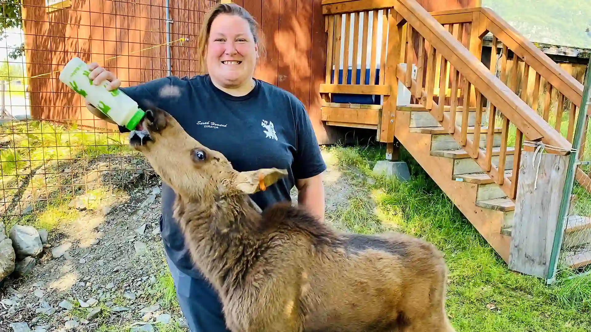 An Inside Look at the Sanctuary for Alaska Wildlife