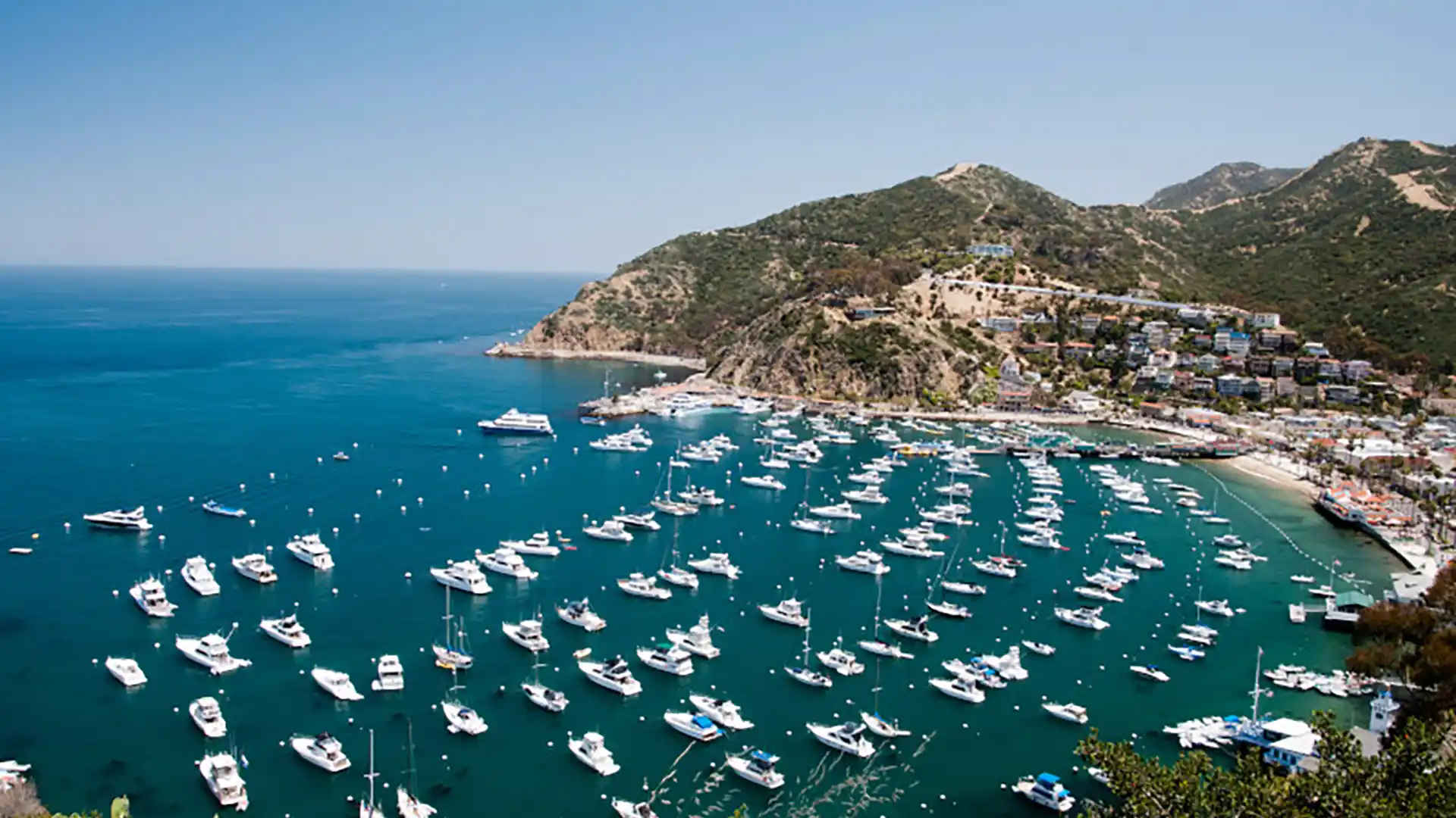 Post: The Ultimate Guide to Visiting Catalina Island in California