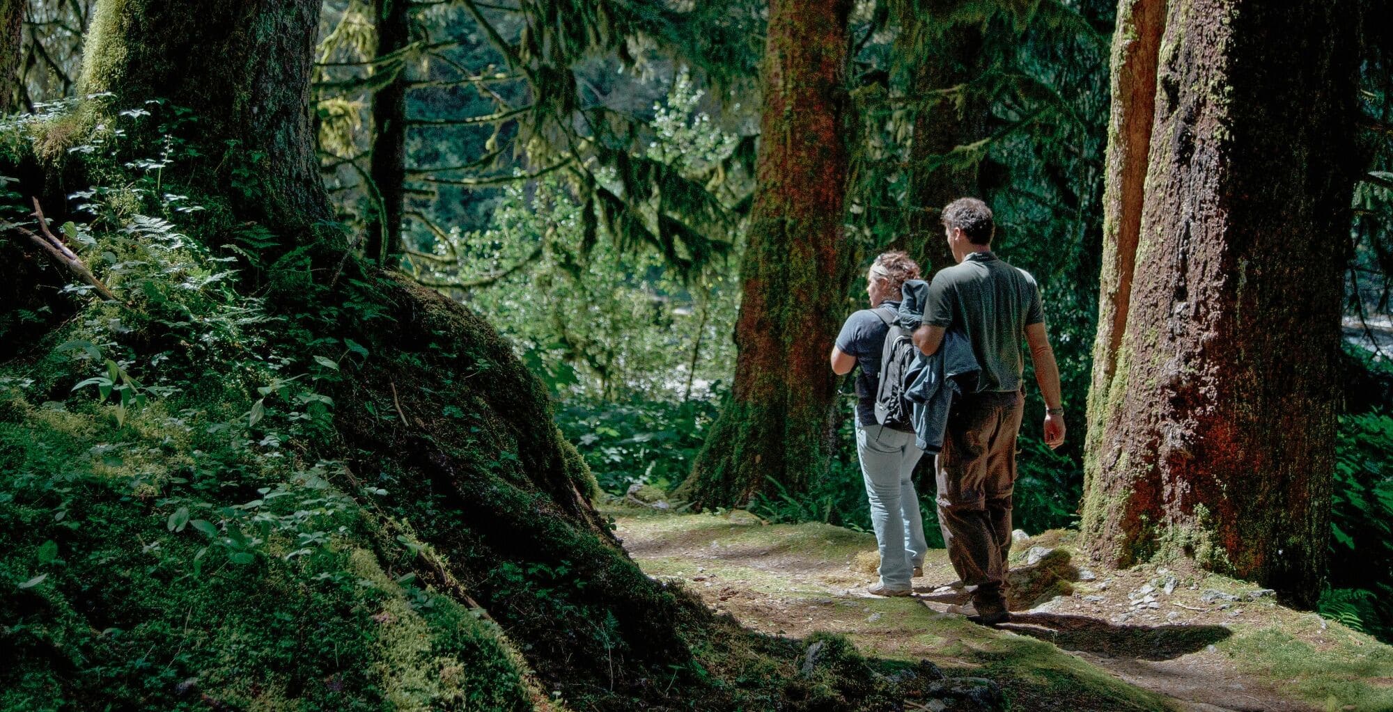 Post: How To Plan an Unforgettable Romantic Alaska Cruise for Couples