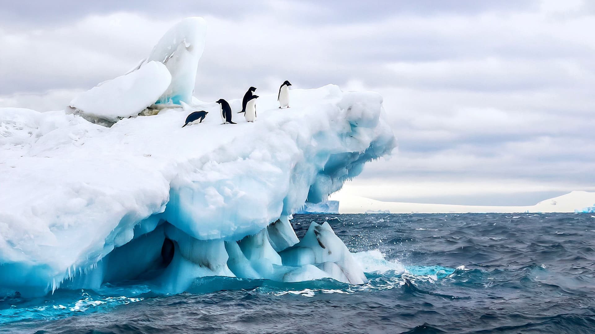 Discover The Antarctica Experience & Prep with Expert Packing Tips