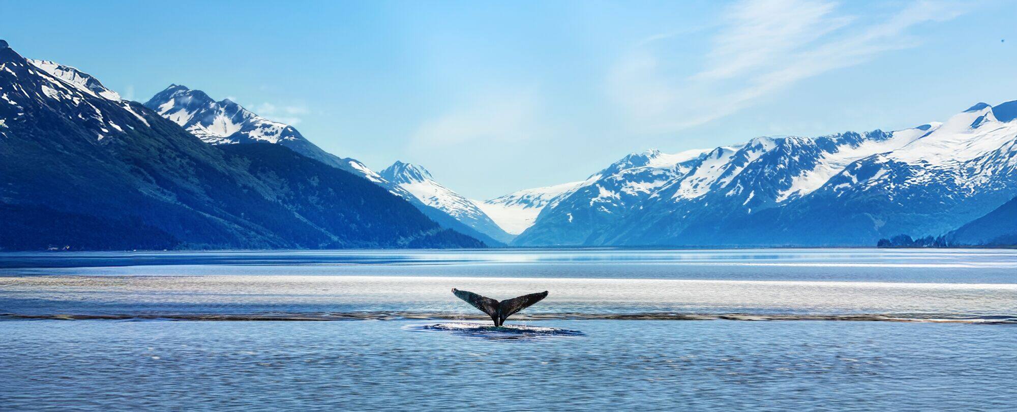 Post: Your Guide to the Best Times to Visit Alaska