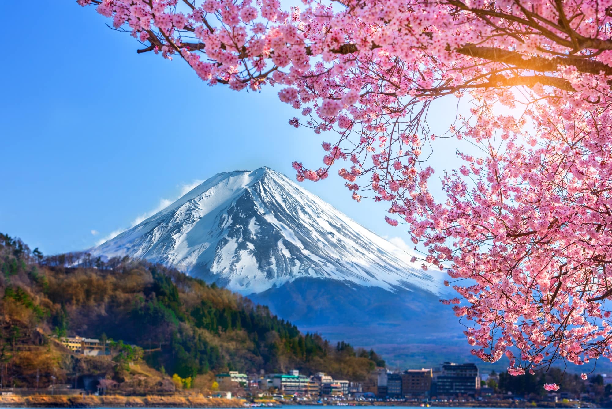 Snow-covered Mount Fuji framed by pink cherry blossoms above a lakeside town.