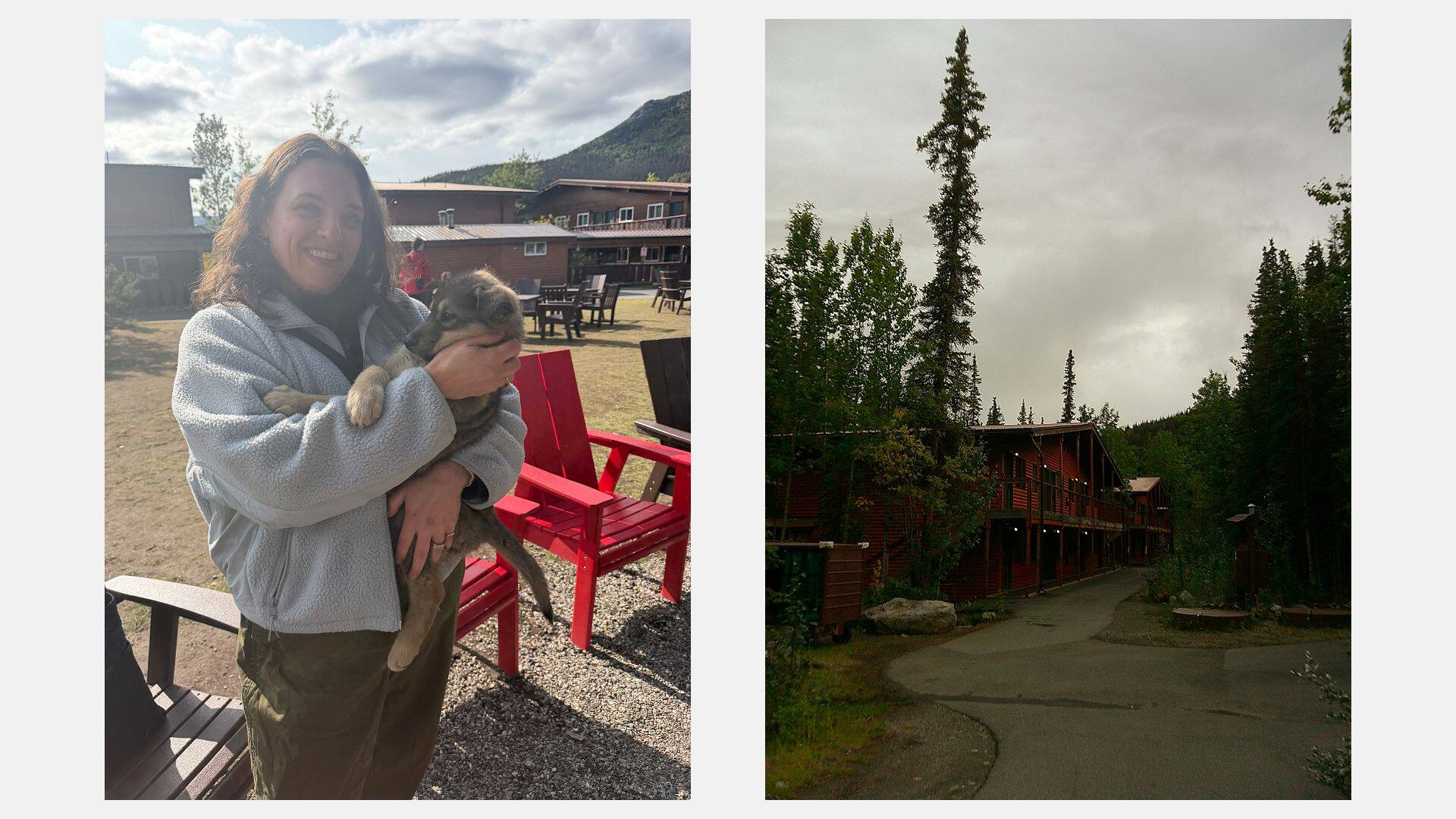 alaska-cruisetour-denali-em-3 Lodge buildings surrounded by tall trees in Denali.