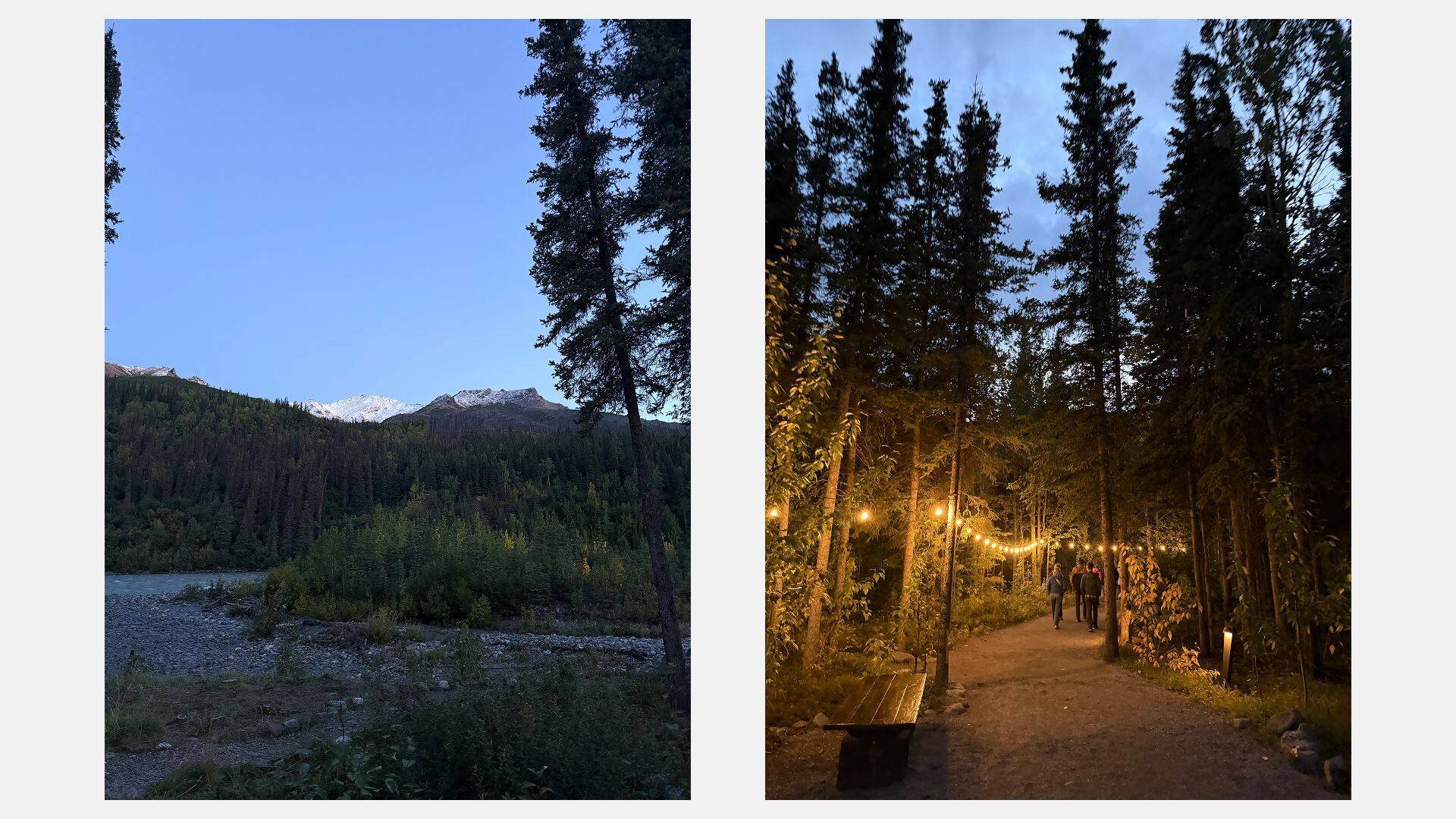 alaska-cruisetour-denali-em-4