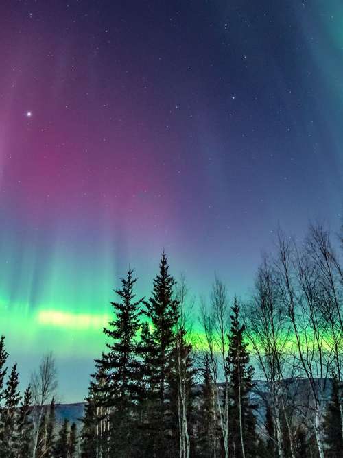 Northern Lights, or Aurora Borealis, near Fairbanks, Alaska
