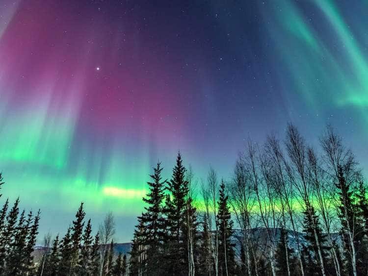 Northern Lights, or Aurora Borealis, near Fairbanks, Alaska