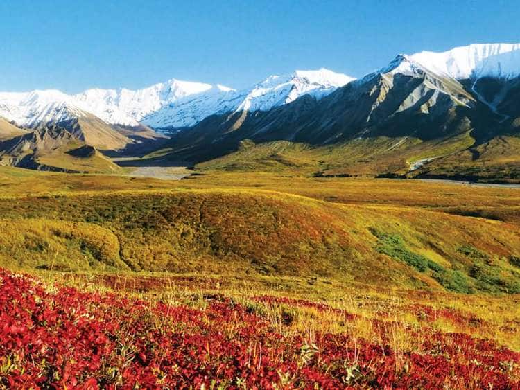snow capped mountains behind a tundra plateau in Alaska's National Parks